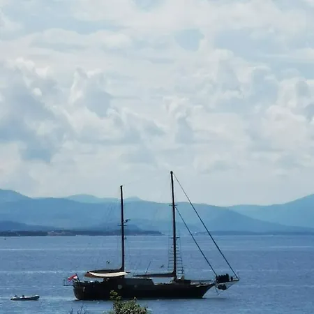 Hedona * Vodice